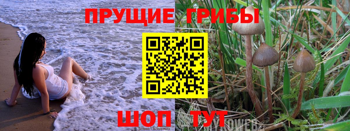 Псилоцибиновые грибы мицелий  Вход с VPN  Муравленко  Псилоцибиновые грибы MAGIC MUSHROOMS 