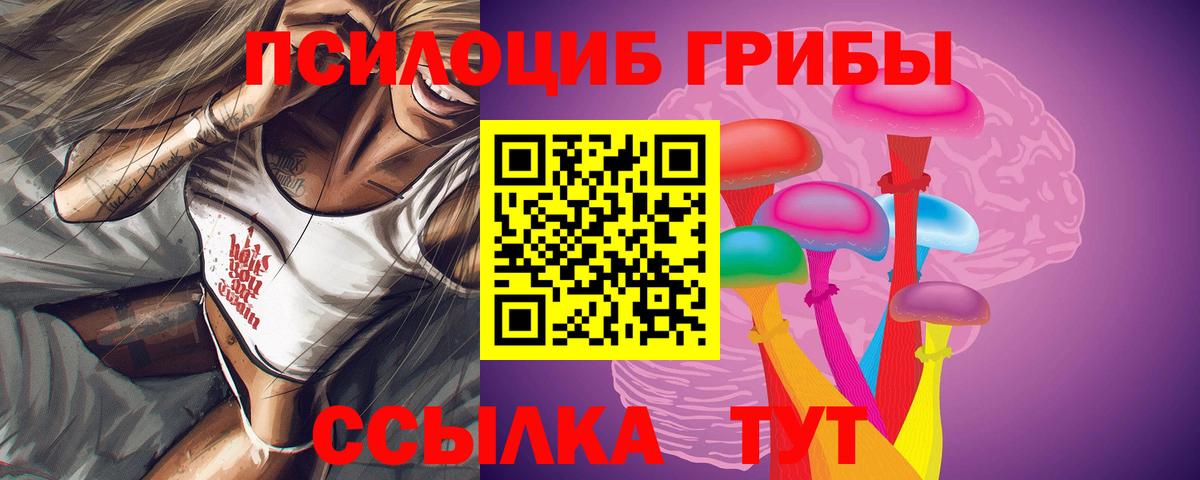 Галлюциногенные грибы Psilocybe Муравленко